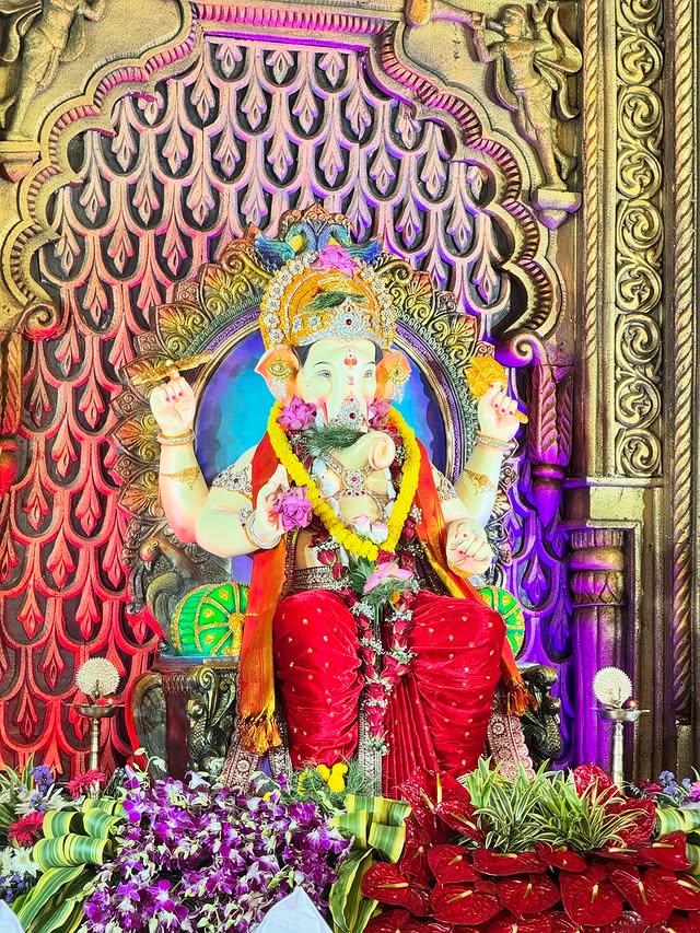 Portfolio Image for 01K58PAVQ5MXV1WFEQNW1GJJP3